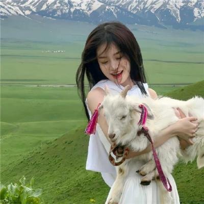 何以飞翔海报